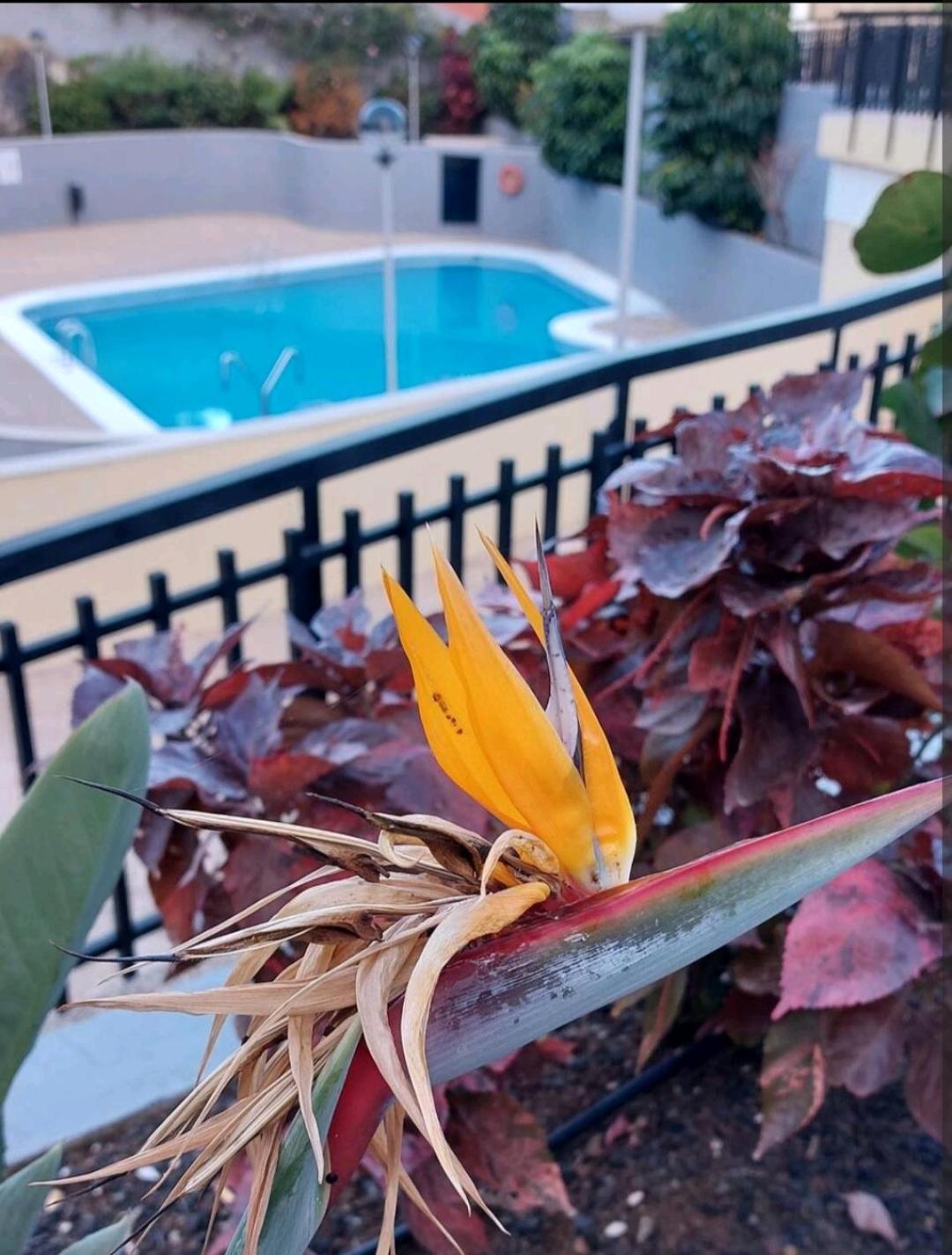Apartamento Balcon Atlantida Candelaria Exterior foto